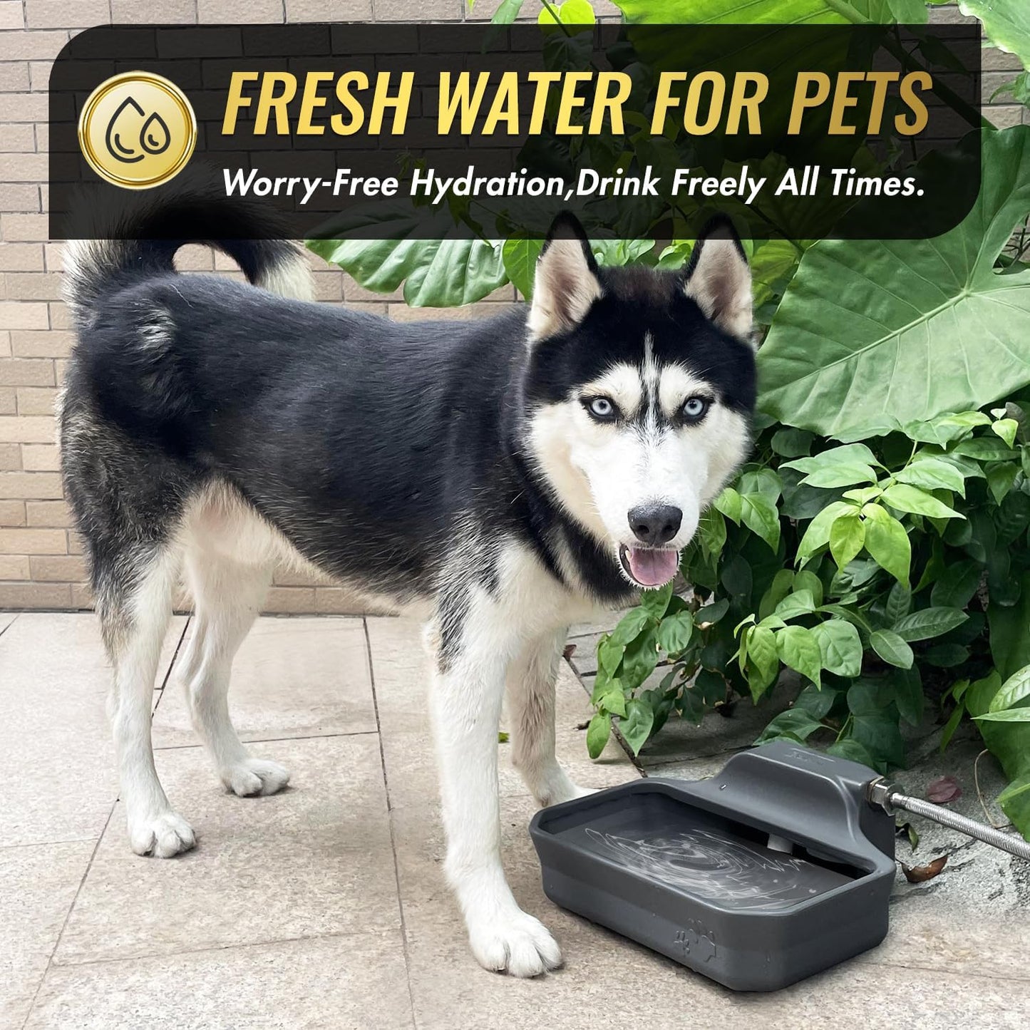 135OZ Automatic Water Dispenser for Large Dogs Patented Outdoor Dog Water Bowl Dispenser Automatic Dog Feeder Fit 3/4'' GHT Faucet Dog Waterer Include Water Hose Extra-Large Drinking Area - Pet Explorer