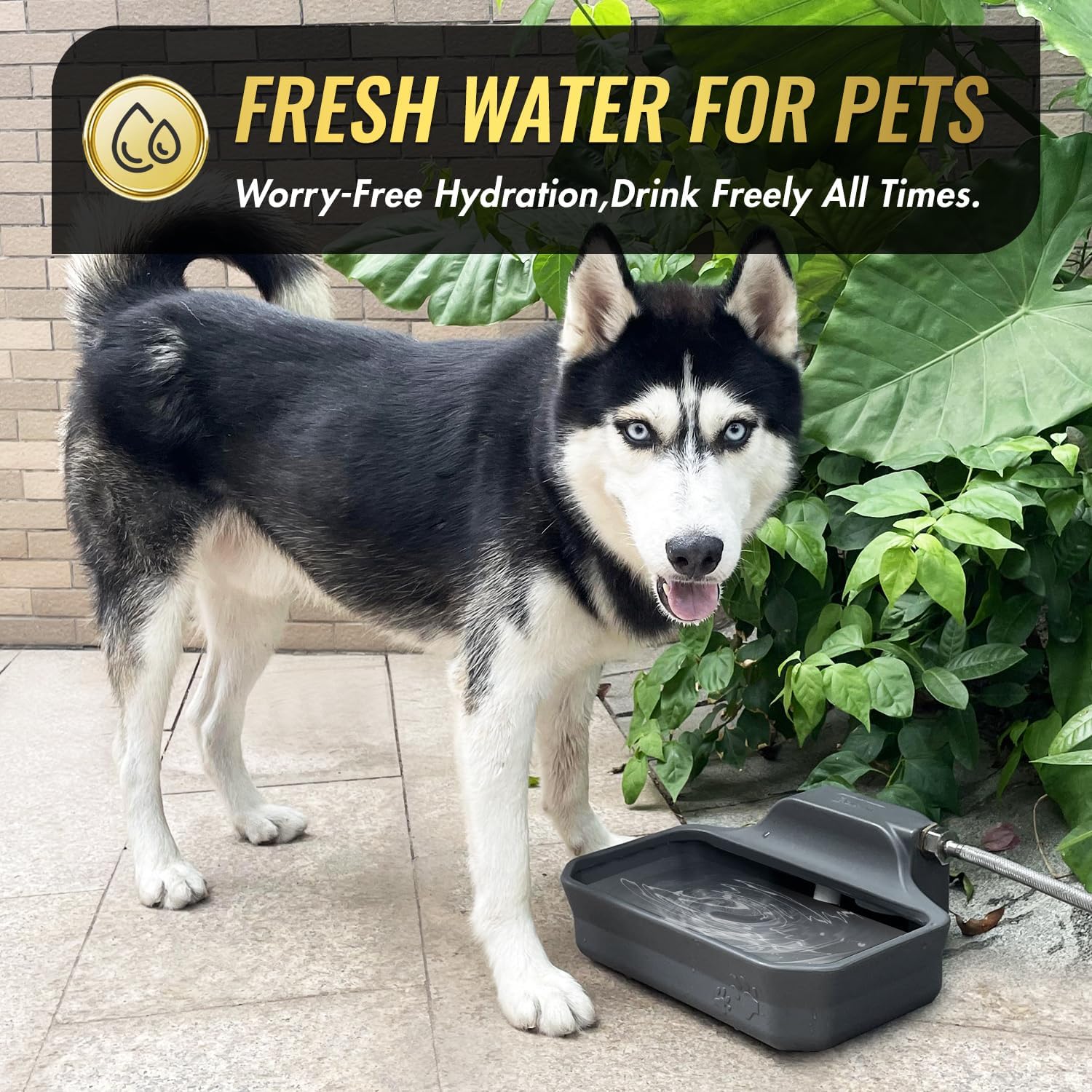 135OZ Automatic Water Dispenser for Large Dogs Patented Outdoor Dog Water Bowl Dispenser Automatic Dog Feeder Fit 3/4'' GHT Faucet Dog Waterer Include Water Hose Extra-Large Drinking Area - Pet Explorer