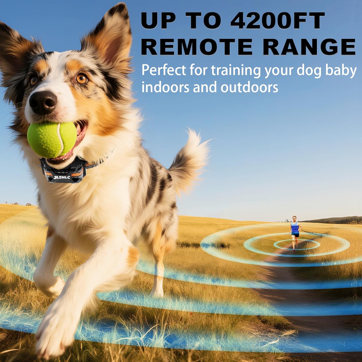 Dog Training Collar with Remote 4200FT - Shock Collar for Barking Control, 4 Modes(Beep/Vibe/Static), IPX7 Waterproof for Swimming, 30-Day Rechargeable Battery, Adjustable for Small to XL Dogs - Pet Explorer