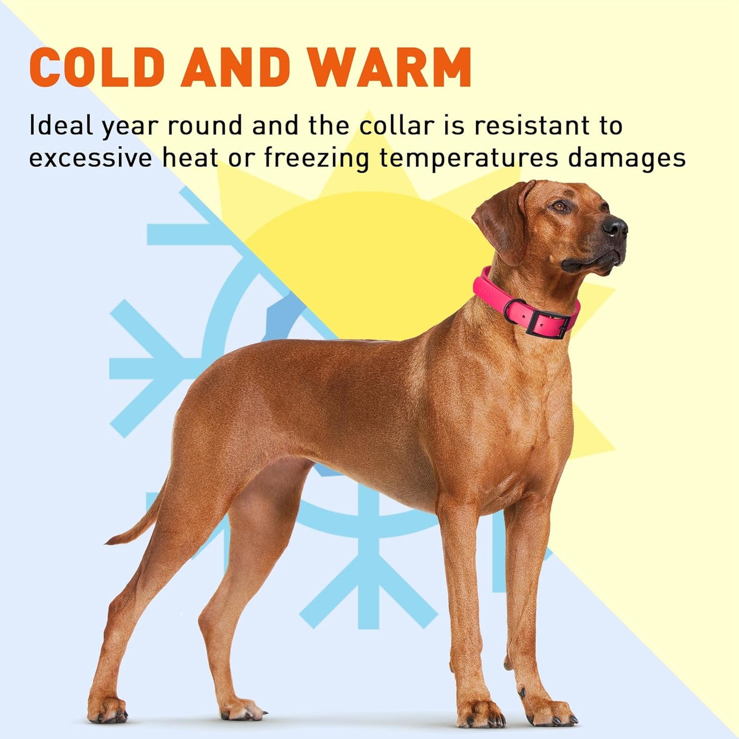 Dogline Biothane Waterproof Dog Collar Strong Coated Nylon Webbing with Black Hardware Odor- Proof for Easy Care Easy to Clean High Performance Fits Small Medium or Large Dogs, Passionfruit Pink