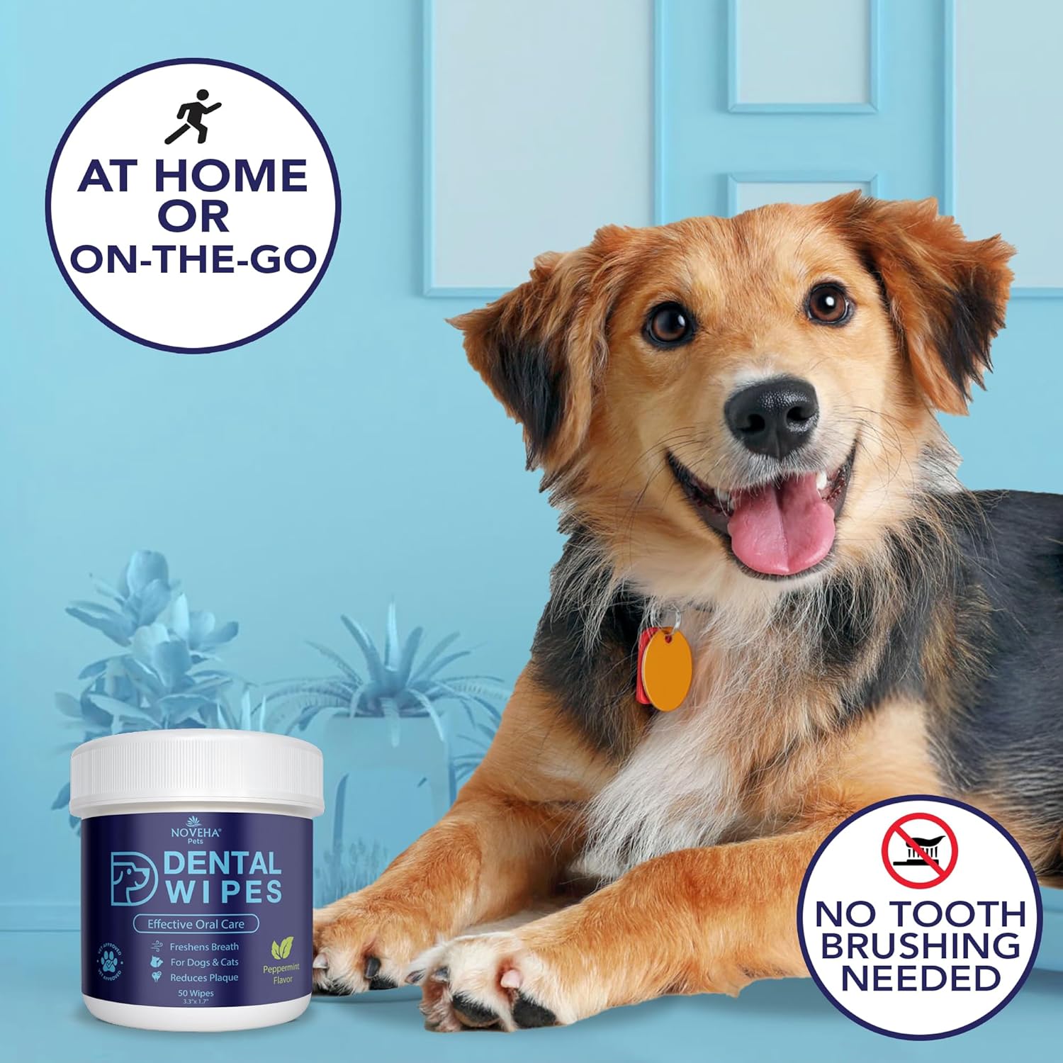 NOVEHA Pets Dental Finger Wipes for Dogs & Cats | Freshens Breath, Reduces Plaque | Healthier Gums | Clean Teeth No Toothbrush | Vet Recommended Effective Natural Oral Care (100 pcs, Mint) - Pet Explorer