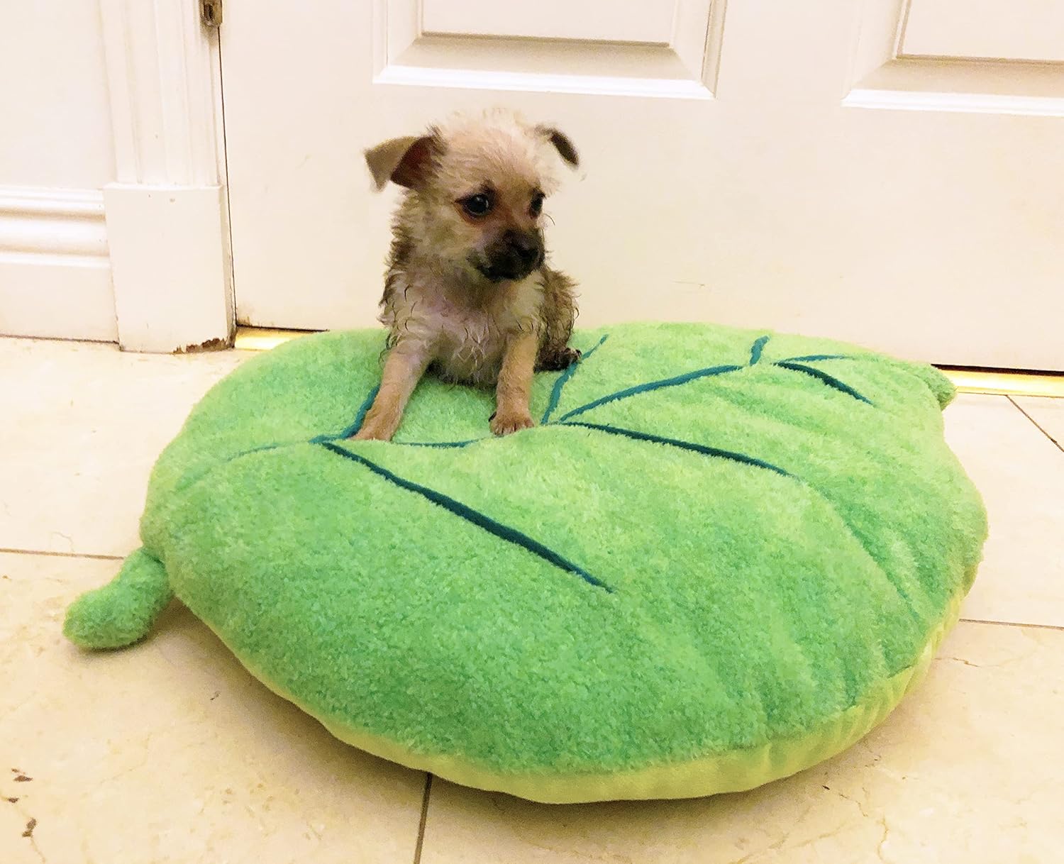 TONBO Soft Plush Extra Small Cute and Cozy Leaf Dog Cat Bed, Washer and Dryer Friendly (Leaf) - Pet Explorer