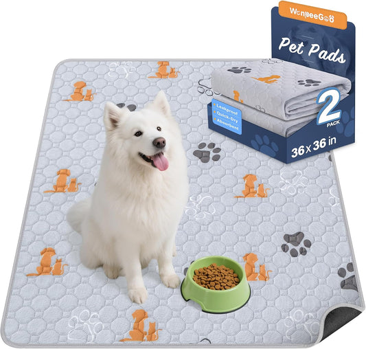 Washable Pee Pads for Dogs, 2 Pack Absorbent Reusable Training Dog Pads Pet Puppy Pads, Non-Slip Potty Pads for Whelping, Playpen, Crate, Bed, Orange, 36"x36" - Pet Explorer