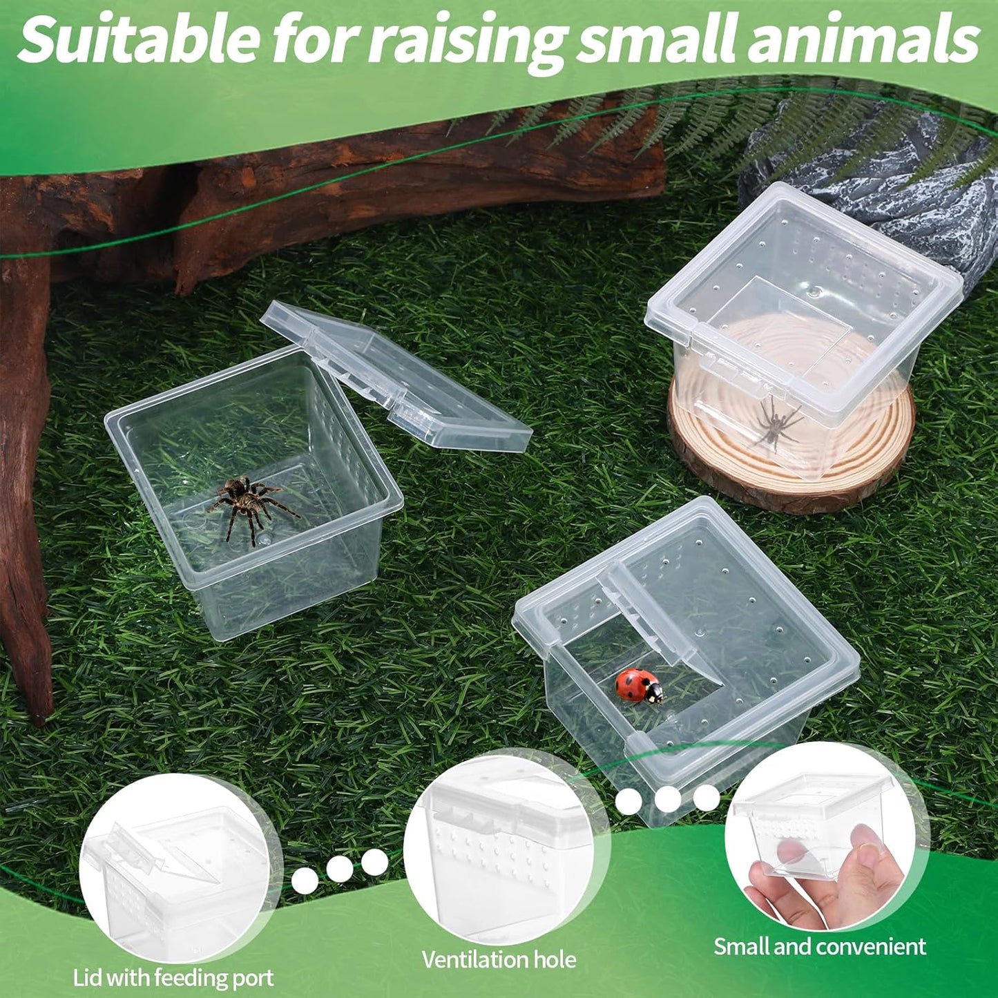 10Pcs Plastic Critter Keeper,Transparent Cricket Keeper for Reptiles,Mini Reptile Feeding Box Kids Bug Catching Kit Suitable for Crickets Scorpions Frogs Centipedes Lizards PP Breeding Box - Pet Explorer