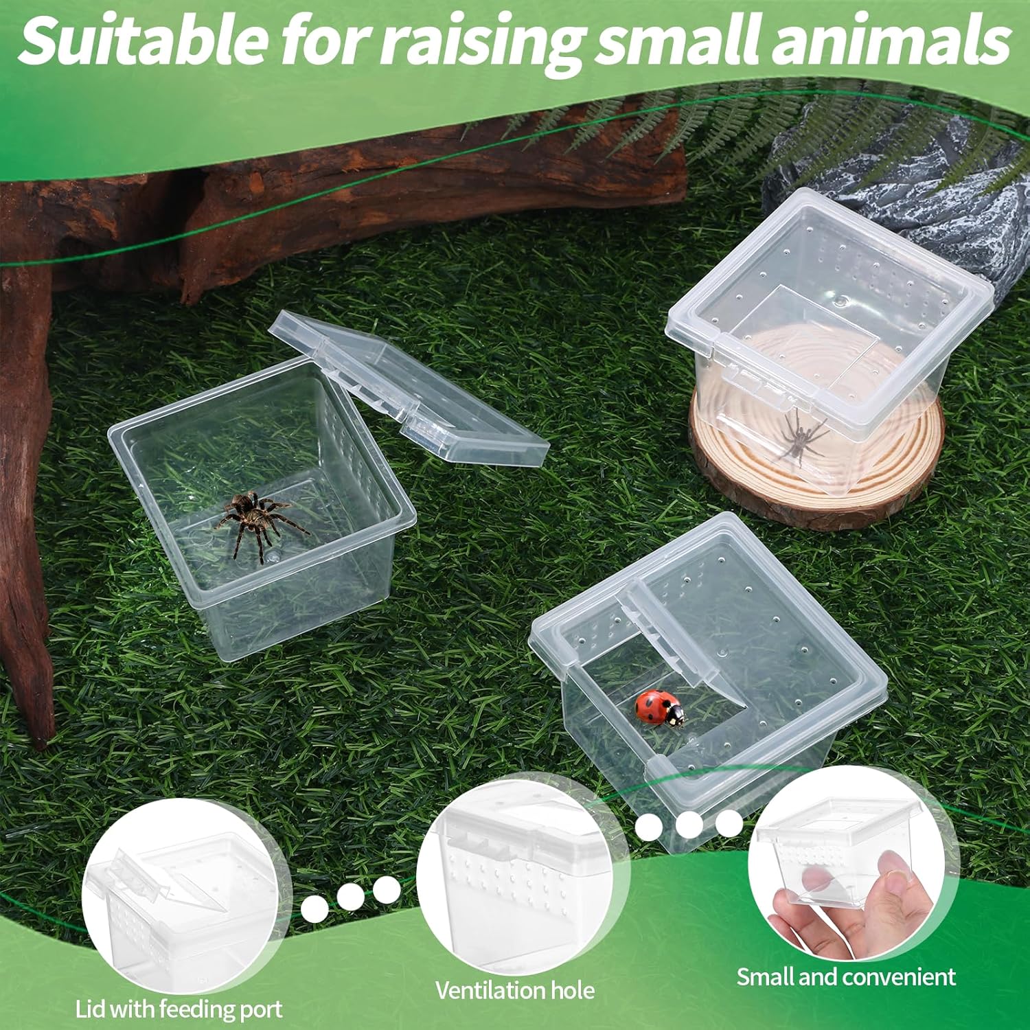10Pcs Plastic Critter Keeper,Transparent Cricket Keeper for Reptiles,Mini Reptile Feeding Box Kids Bug Catching Kit Suitable for Crickets Scorpions Frogs Centipedes Lizards PP Breeding Box - Pet Explorer