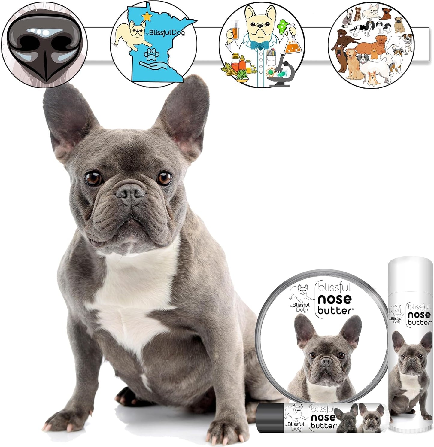 The Blissful Dog Blue French Bulldog Unscented Nose Butter, 16oz - Pet Explorer