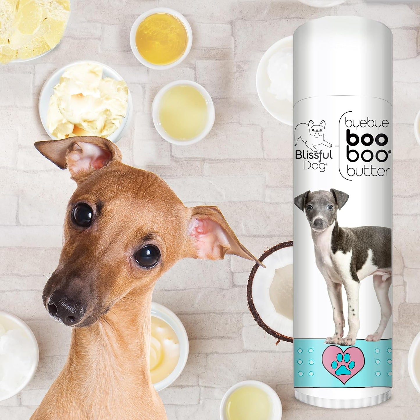 The Blissful Dog Italian Greyhound Boo Boo Butter, 0.50-Ounce - Pet Explorer