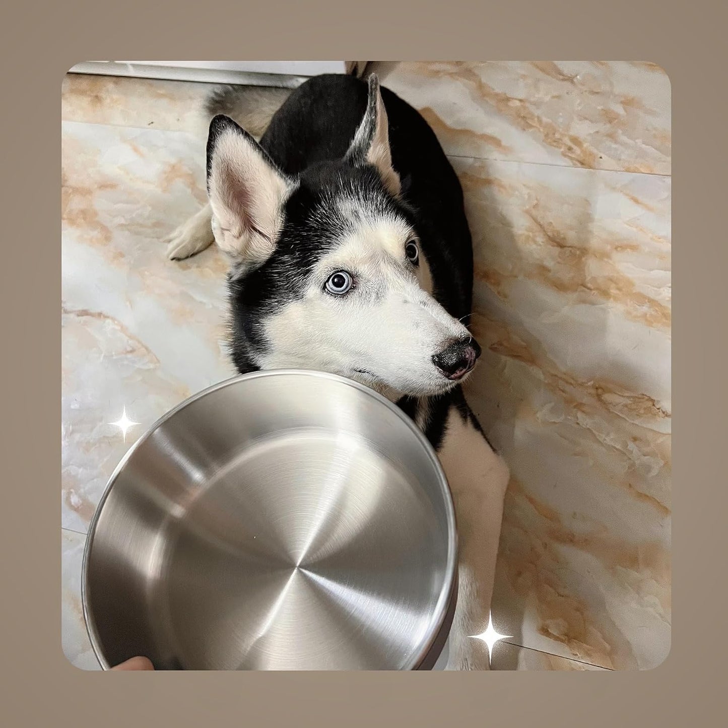 IKITCHEN Dog Bowl for Food and Water, 40 Oz Stainless Steel Pet Feeding Bowl, Durable Non-Skid Insulated Heavy Duty with Rubber Bottom for Medium Large Sized Dogs (40 Ounces/5 Cup, Grey) - Pet Explorer