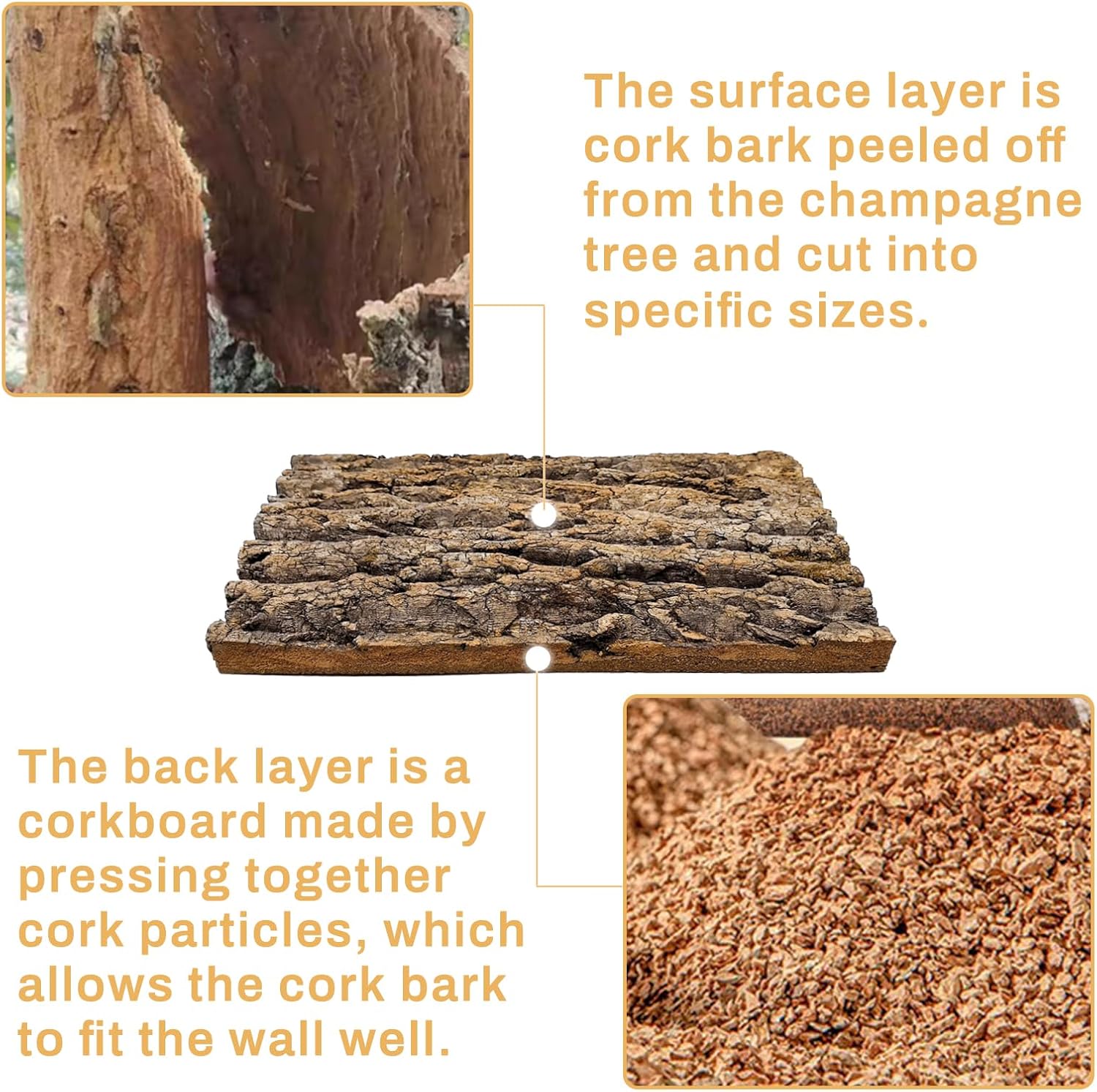 Tfwadmx Terrarium Cork Bark Background, 11.8"x15.75" Thickened Reptile Tank Tree Backdrop Wall Decor Habitat Climbing Mat Decoration for Lizard, Turtle, Gecko, Bearded Dragon, Frog, Chameleon - Pet Explorer