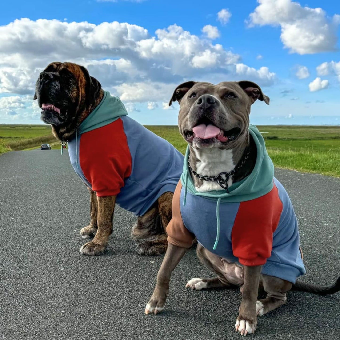 Spark Paws Dog Hoodie – Premium Dog Sweater for Small, Medium, and Large Dogs | Warm Outfits for French Bulldogs, Pitbull, Puppy, Winter Jacket Alternative - Alpine - 2XL