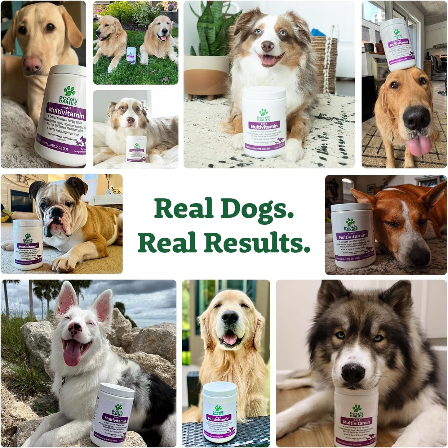 Doggie Dailies 5 in 1 Multivitamin for Dogs, Dog Multivitamin for Skin and Coat Health, Joint Health, Improved Digestion, Antioxidants, Support a Healthy Immune System (Peanut Butter) 225 Soft Chews - Pet Explorer