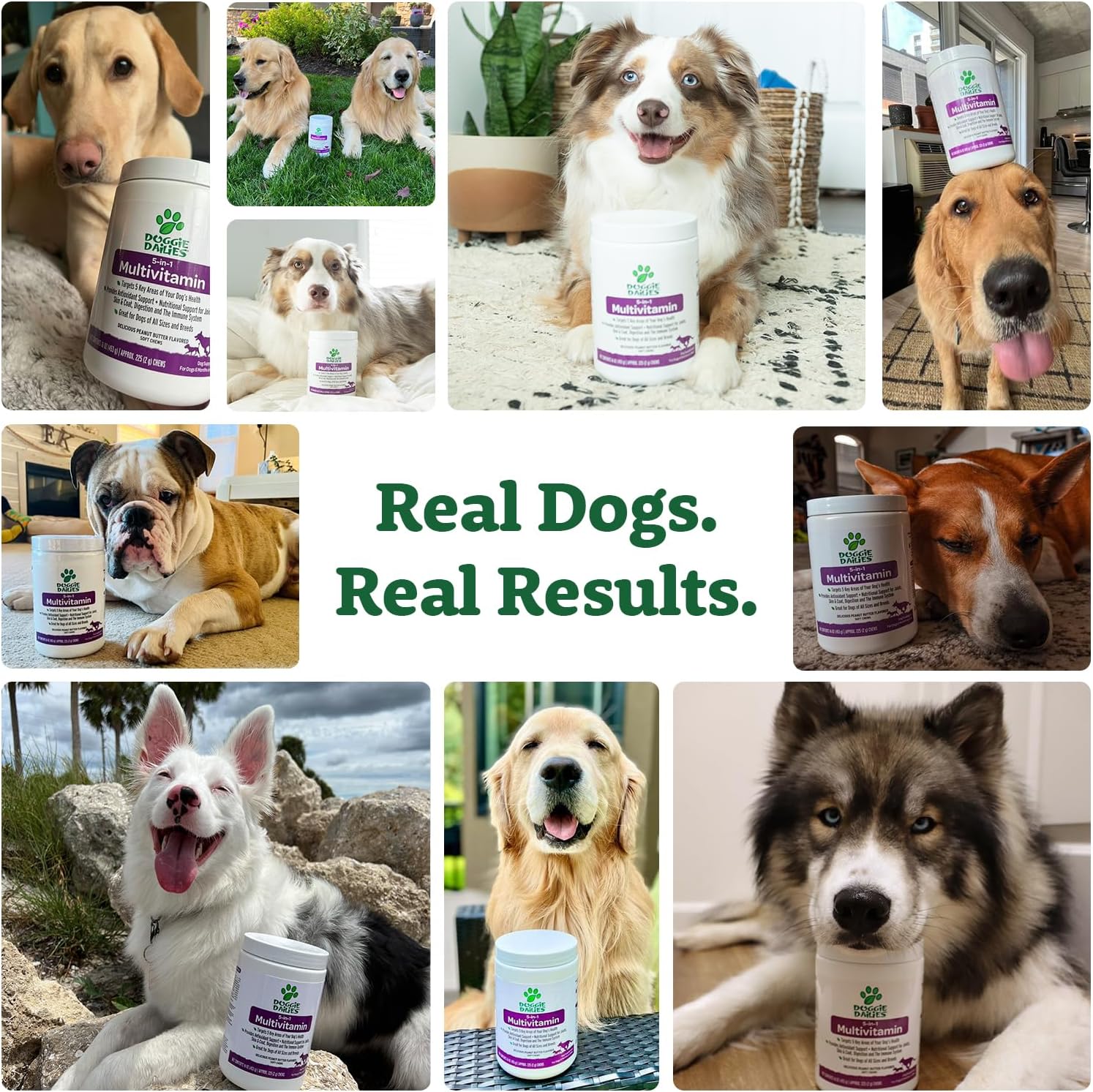 Doggie Dailies 5 in 1 Multivitamin for Dogs, Dog Multivitamin for Skin and Coat Health, Joint Health, Improved Digestion, Antioxidants, Support a Healthy Immune System (Peanut Butter) 225 Soft Chews - Pet Explorer