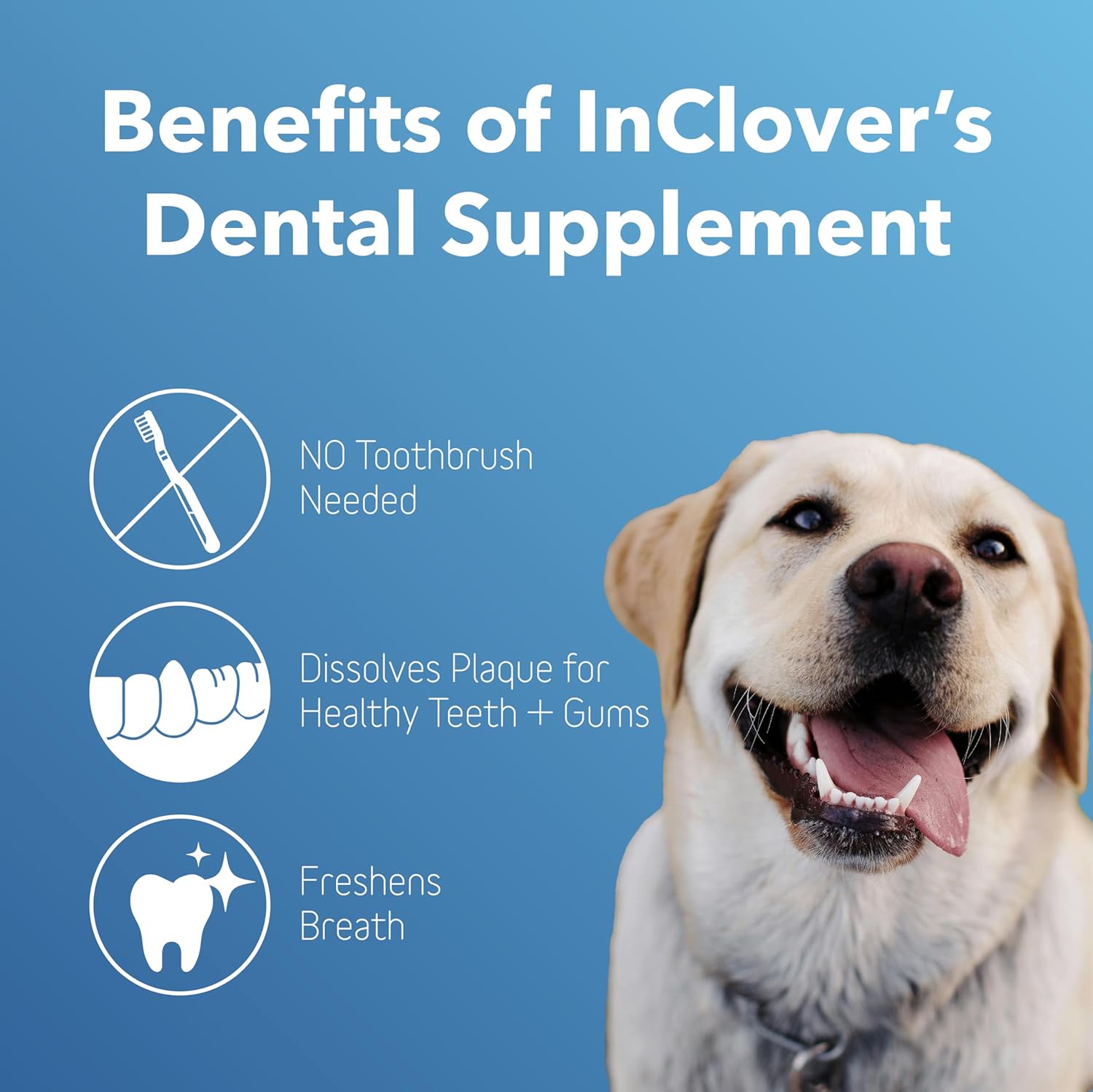 InClover Dog and Cat Dental Powder for Teeth Cleaning and Enamel and Gum Health, Natural Pet Supplement, Breath Freshener - Naturally Flush Away Tartar, No Brushing Necessary - Pet Explorer