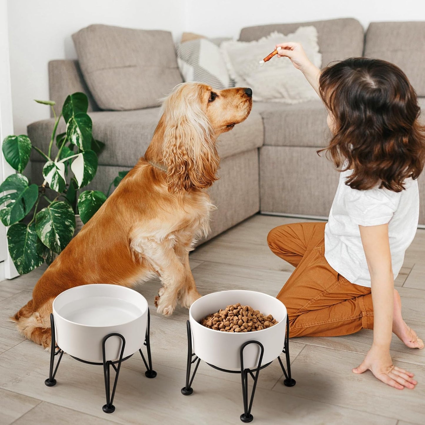 Elevated Dog Bowls, Ceramic Raised Dog Bowl Set with Anti-Slip and Non-Tip Metal Stand, 2 Pack Pet Food and Water Feeding Bowls for Small and Medium Dogs (White,7.6 Cups) - Pet Explorer
