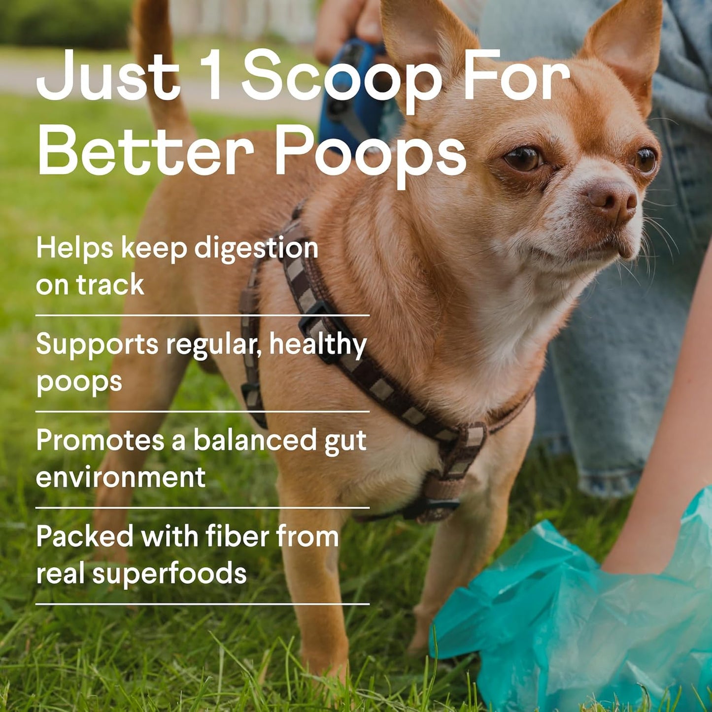Finn Pumpkin Plus: Daily Digestive Support & Fiber-Rich Topper for Dogs | Promotes Regularity & Gut Health with Superfoods - Pet Explorer