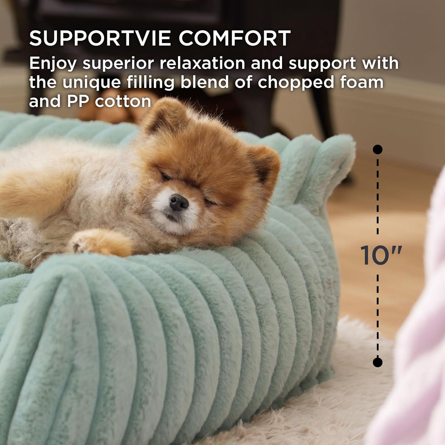 Bedsure Cute Cat Couch for Pets - Fluffy Cat Sofa with Premium Soft Corduroy Fleece, Fuzzy Pet Couch Bed with Removable Washable Cover, Supportive Pet Chair for Indoor Cats, 24inch, Garden Green - Pet Explorer