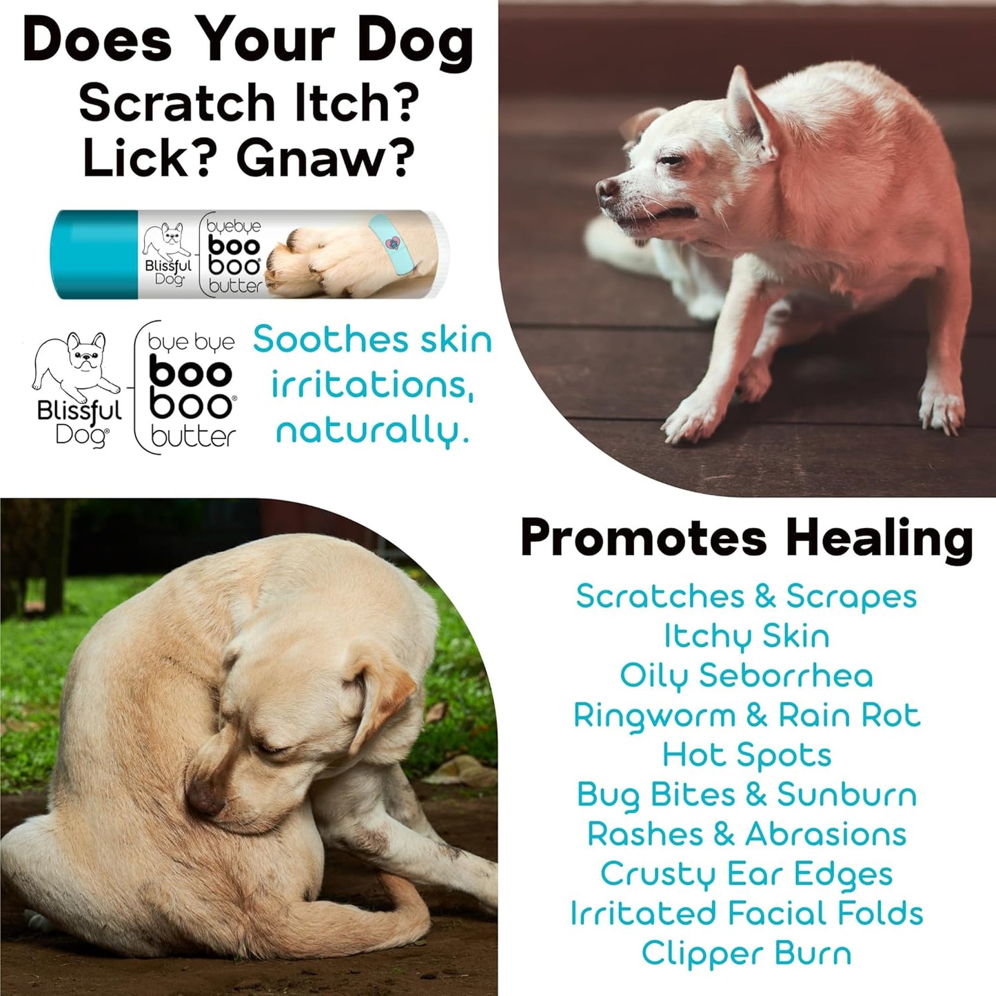 The Blissful Dog 2 oz TIN Maltese Booboo Butter - Pet Explorer