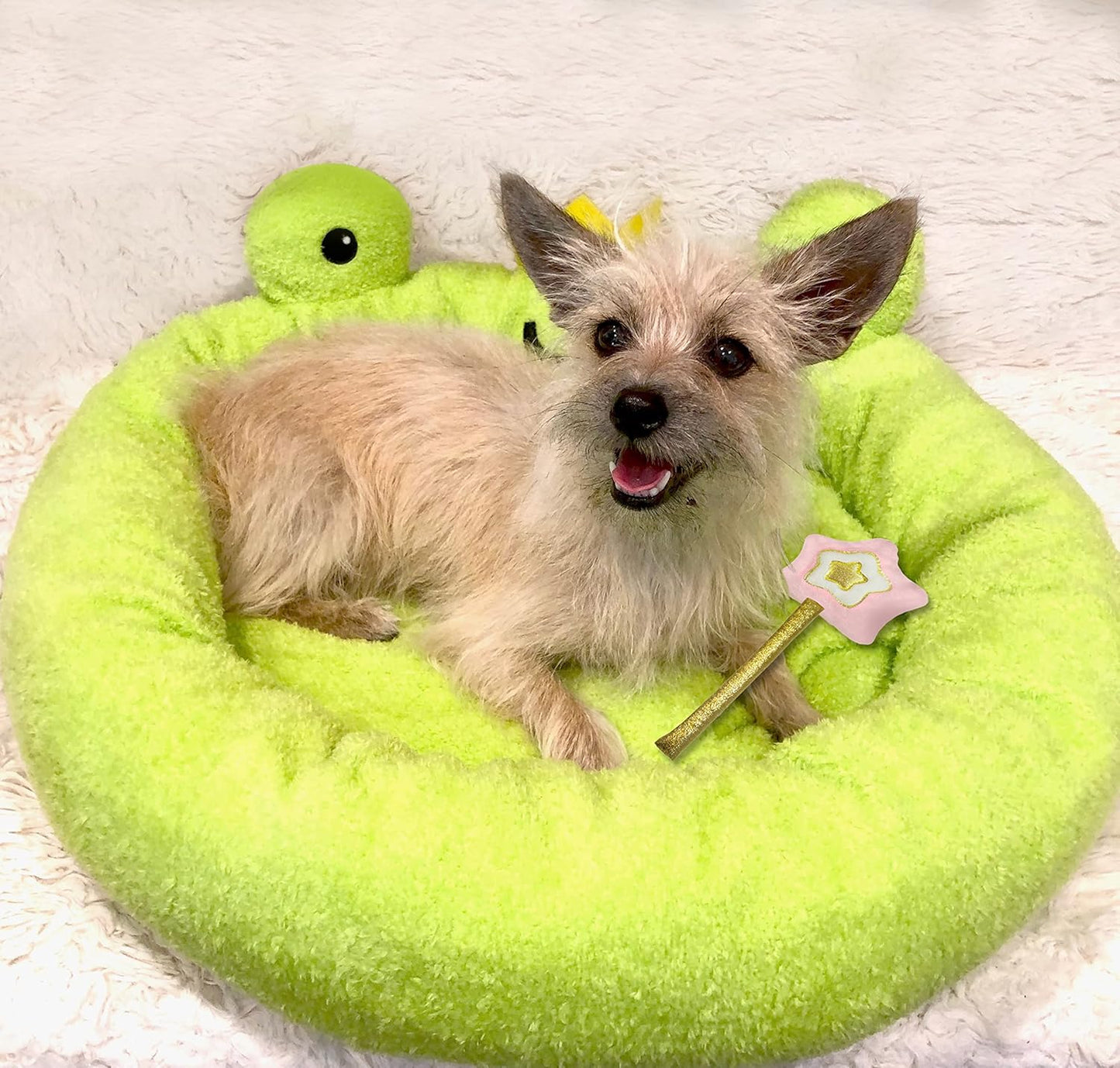 TONBO Soft Plush Small Cute and Cozy Food Dog Cat Bed, Washer and Dryer Friendly (Frog) - Pet Explorer
