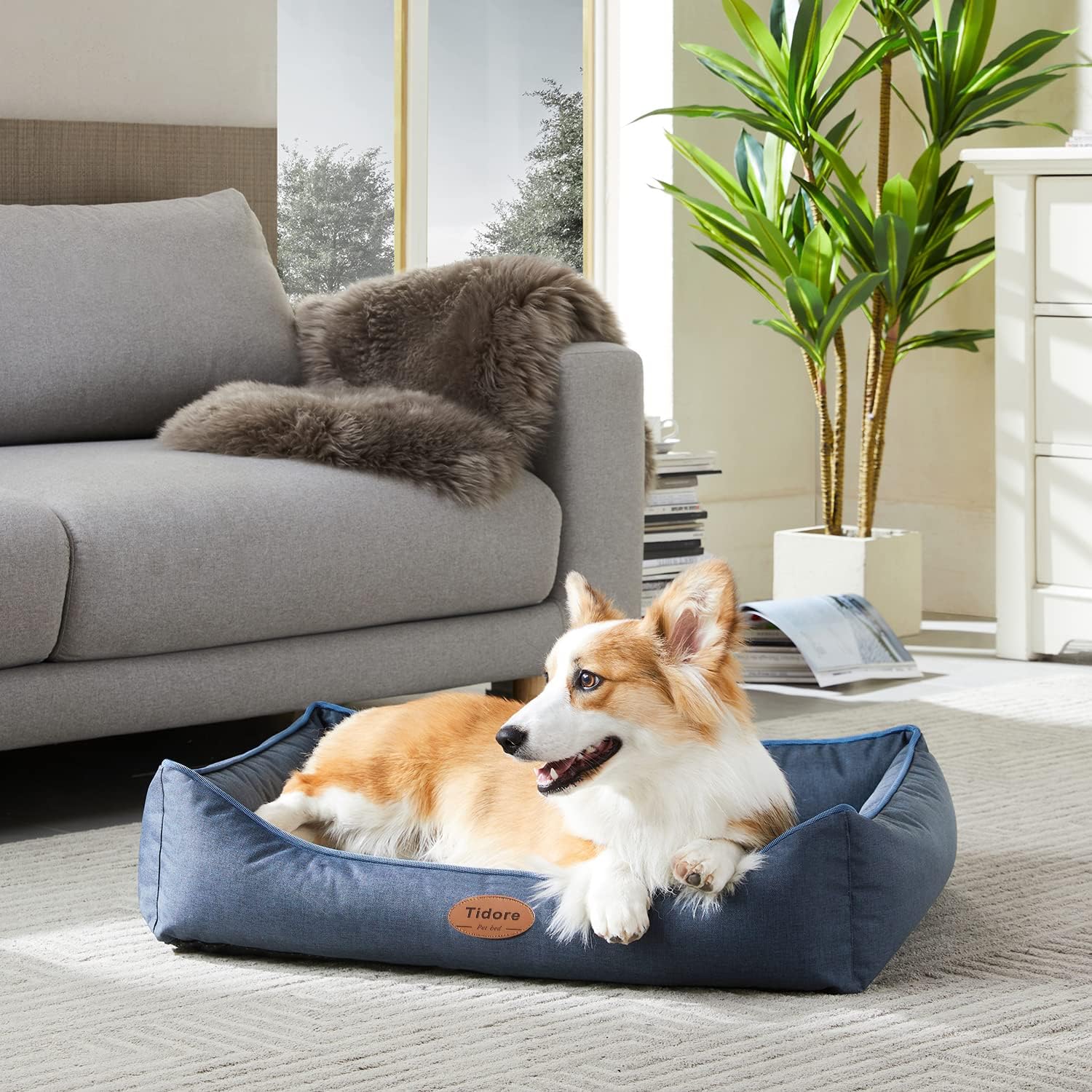 Orthopedic Dog Beds for Medium Dogs, Durable Egg Crate Foam Sofa Dog Bed wit Washable Removable Cover,Waterproof Lining,Pet Bed for Large Dogs (Navy Blue, 31.5" L x 25.2" W x 7" Th) - Pet Explorer