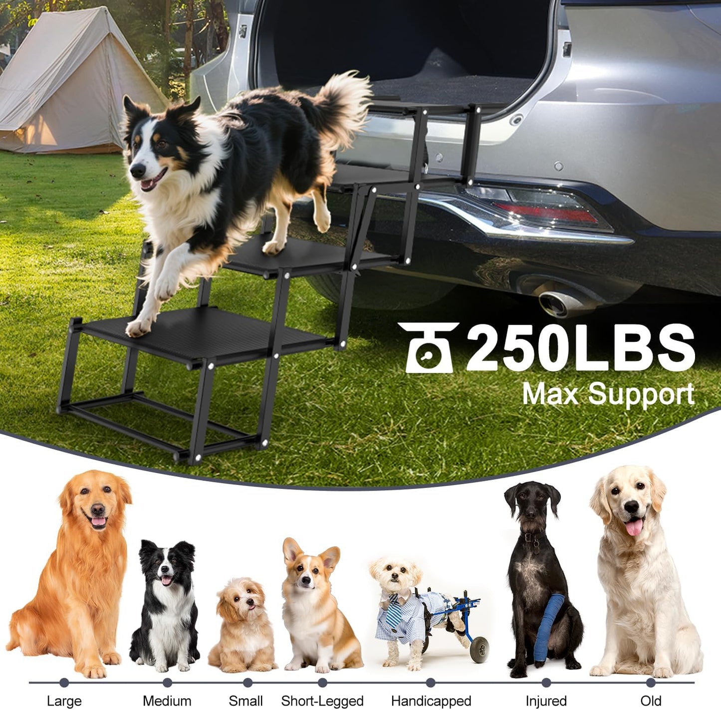 Extra Wide Dog Stairs for Large Dogs, Foldable Dog Ramp for Car with Non-Slip Surface, Lightweight Dog Stairs for Cars, Dog Steps for Cars, SUV, High Beds, Truck, Supports up to 250 lbs, 4 Steps - Pet Explorer