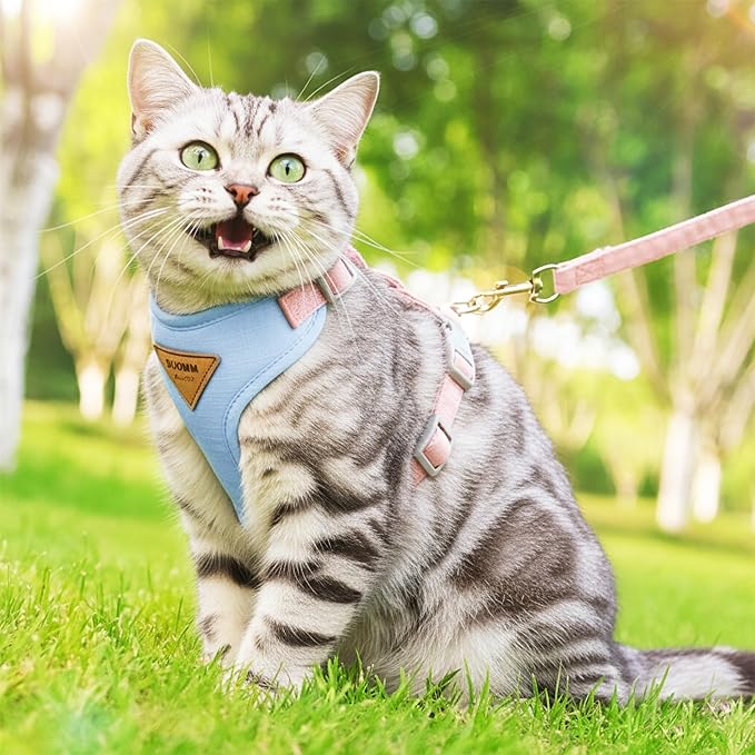Escape-Proof Cat Harness and Leash Set - Adjustable and Comfortable - Ideal for Walking Cat Outdoors - Fits Small Dogs, Kittens, Medium, and Large Cats (Blue, M)