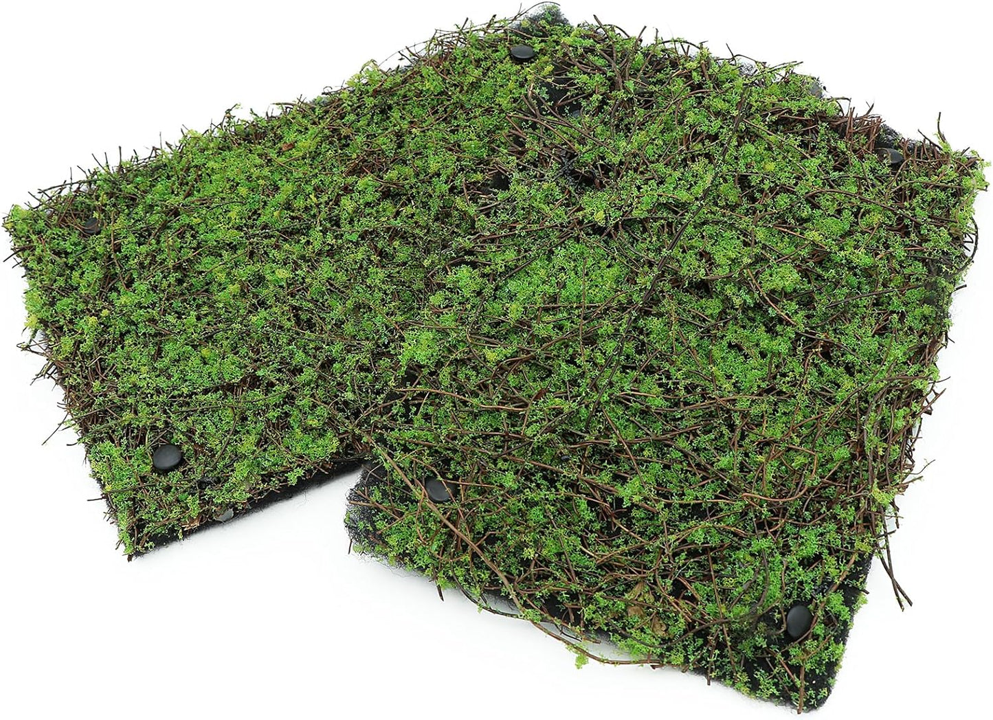 AQUA KT Terrarium Moss Background Backdrop Wall Artificial Reptile Amphibian Cage Decoration for Lizard Bearded Dragon Snake Frog Chameleon Climbing, Pack of 2 - Pet Explorer