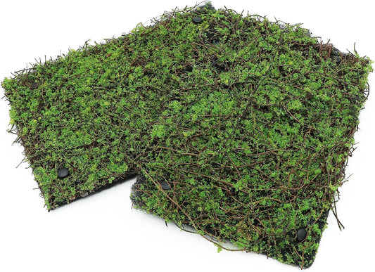 AQUA KT Terrarium Moss Background Backdrop Wall Artificial Reptile Amphibian Cage Decoration for Lizard Bearded Dragon Snake Frog Chameleon Climbing, Pack of 2 - Pet Explorer