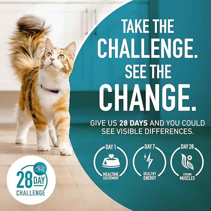 Purina ONE Sensitive Stomach, Sensitive Skin, Natural Dry Cat Food, +Plus Sensitive Skin and Stomach Formula - 16 lb. Bag