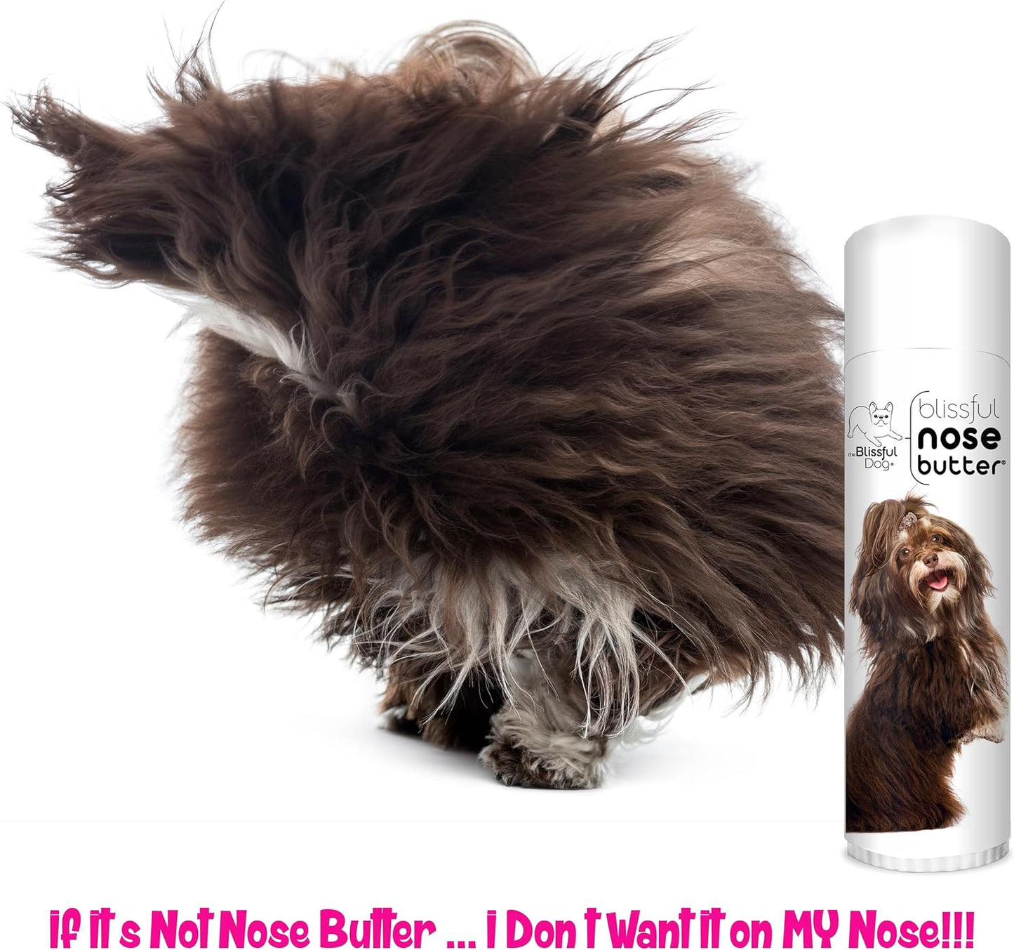 The Blissful Dog Havanese Nose Butter for Dry, Cracked Skin, Lick-Safe Dog Nose Balm with Moisturizing Shea Butter, Almond, Olive, and Essential Oils, Pet Supplies, Uncented, 0.50 oz. - Pet Explorer