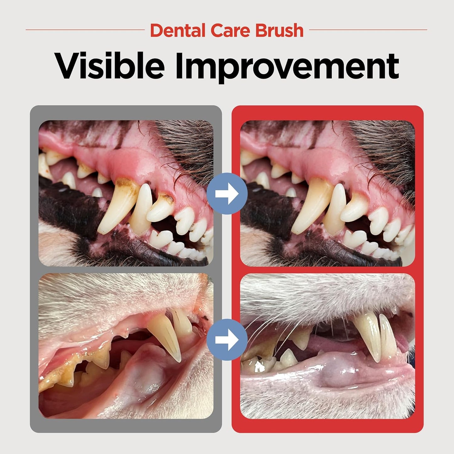 JAYU PET Dental Care Brush (Soft Bristles) 3ea - Dog Toothbrush, Cat Toothbrush, Dental Care for Kitten and Small Dogs, Removing Old Plaque and Tartar, Cat Teeth Brushing & Easy Cleaning - Pet Explorer