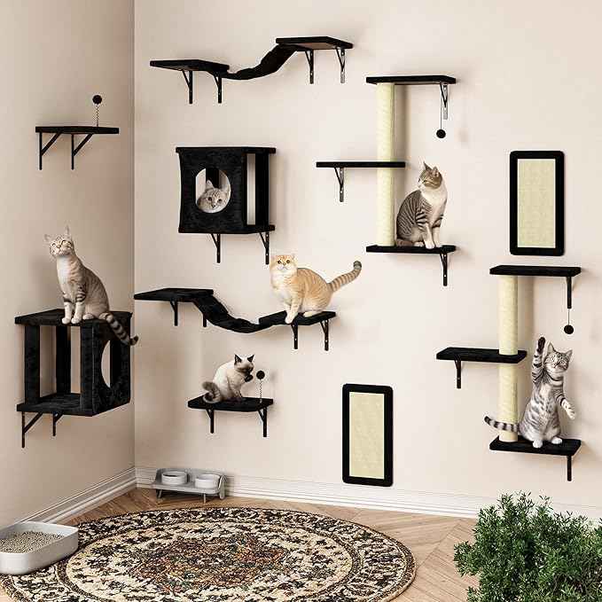 NUNU LAB Wall Mounted Cat Wall Shelves, 10-in-1 Cat Wall Climber with Kitten House, Bridge, Steps, Scratcher, Indoor Space-Saving Furniture for Kittens Play, Black