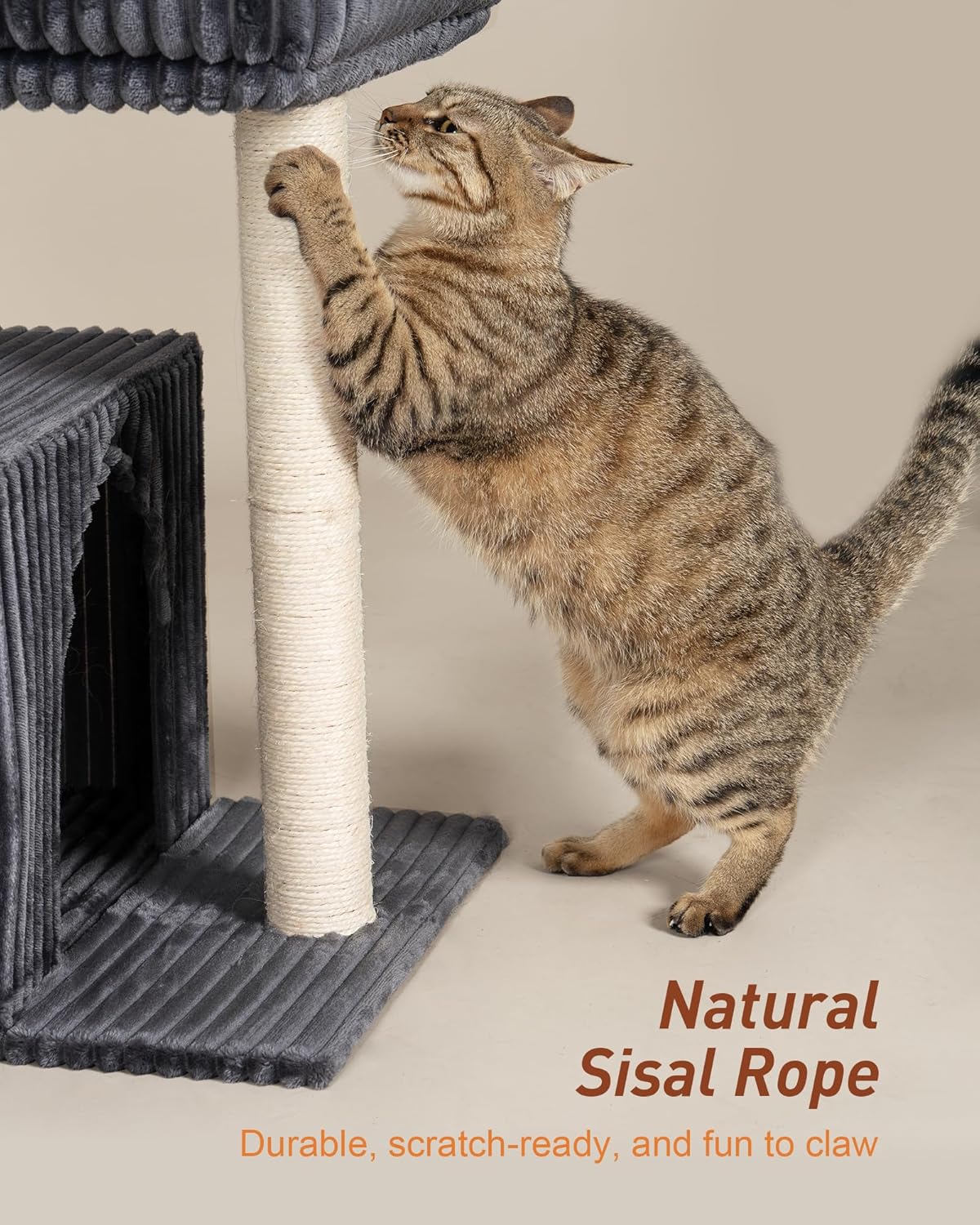 Cat Tree for Large Cat, 22.8” Cat Tower with Scratching Post, 20.9 * 15.7in Perch Bed for Adult Cats, Cat Condo with 2 Caves for Indoor Cats, Dark Gray - Pet Explorer