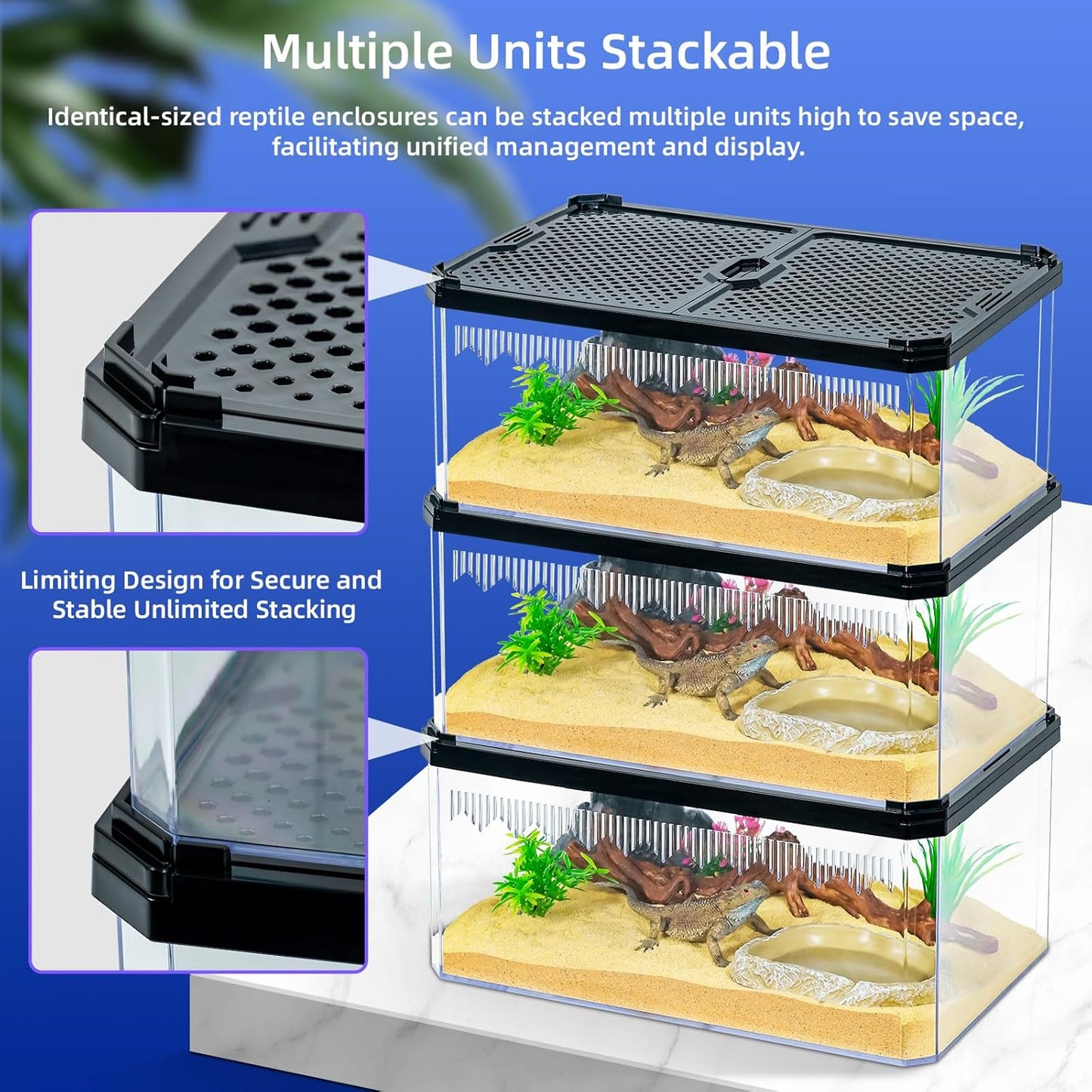 High-Transparency Reptile & Insect Enclosure Terrarium with Magnetic Door, Excellent Ventilation, Easy Cleaning, and Strong, Long-Lasting Build for Gecko, Tarantula, Hermit Crab (9.3x6.2x4.6 Inch) - Pet Explorer