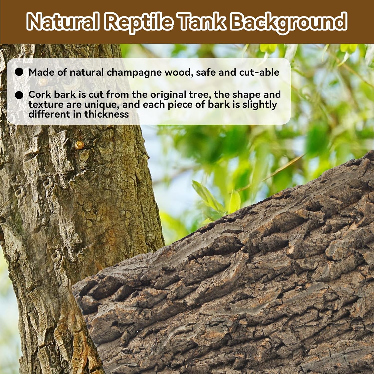 2PCS Reptile Cork Bark Background,15.74 x 11.81 Inch Natural Cork Wood Terrarium Background Bearded Dragon Tank Bark Backdrop Wall Decor for Lizard Gecko Chameleon Tortoise Snake Spider Frog - Pet Explorer