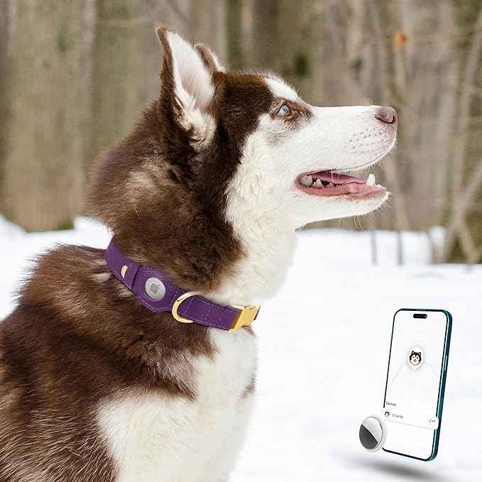 Leather Airtag Dog Collar - Soft Tracking Dog Collar with Apple AirTag Holder and Metal Buckle - Safety GPS Pet Collars for Small Medium Large Dogs Puppy Pink Red (Purple, XL, 20"-25" Neck Fit)