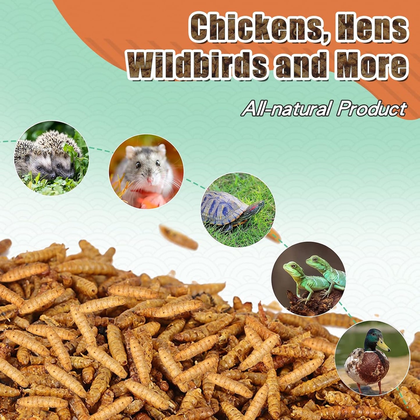 Dried Black Soldier Fly Larvae 44LBS, 85X More Calcium Than Mealworms High-Protein BSF Larvae Chicken Treats Non-GMO BSFL for Chickens, Hens, Ducks, Wild Birds
