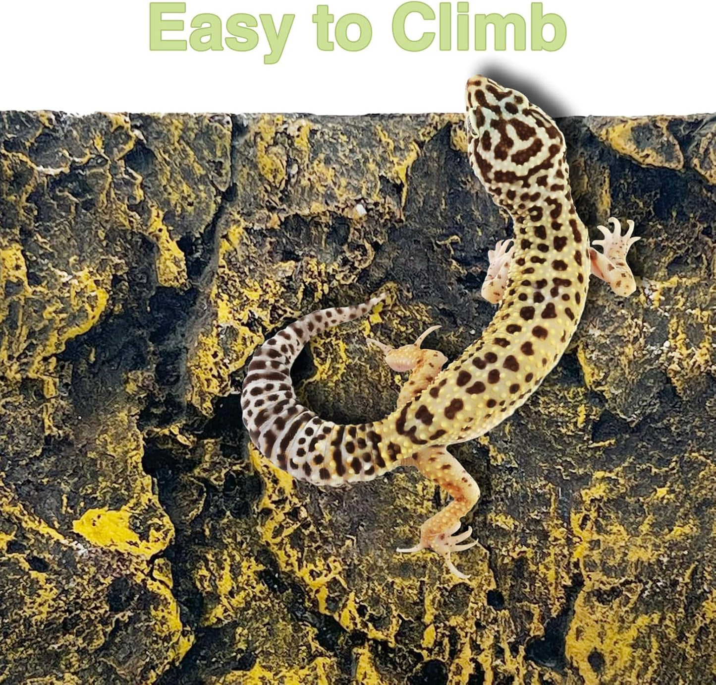 Hamiledyi Rock Terrarium Background Reptile Tank Backgrounds Snake Habitat Decoration Leopard Gecko 3D Wall Backdrop Aquarium DéCor Backgrounds for Lizards Bearded Dragons Tortoises Tree Frogs - Pet Explorer