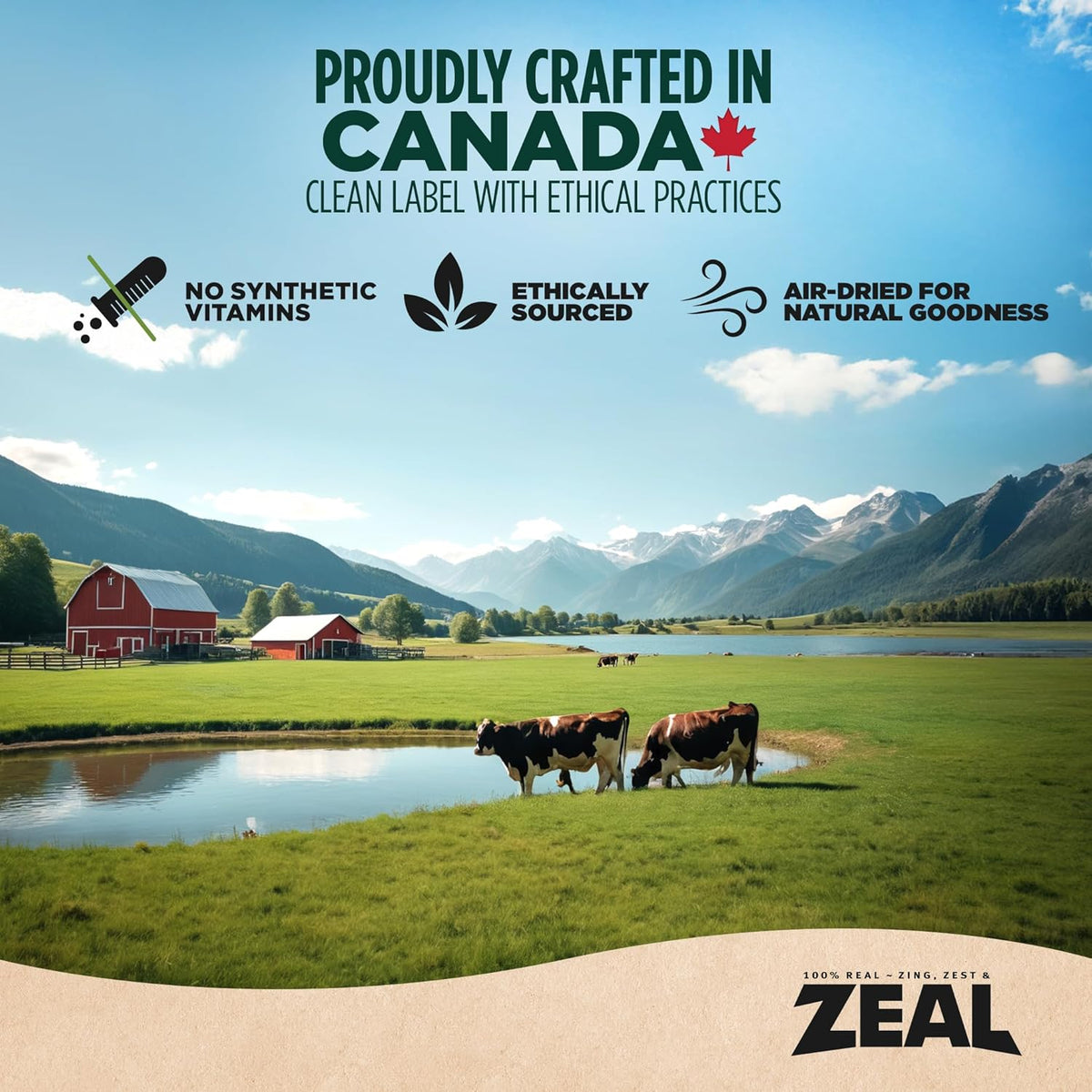 ZEAL Canada Air-Dried Turkey Recipe for Dogs - High Protein, Natural Superfoods, Nutrient Rich, No Fillers, Grain Free, Complete & Balanced (Turkey, 1 lb)