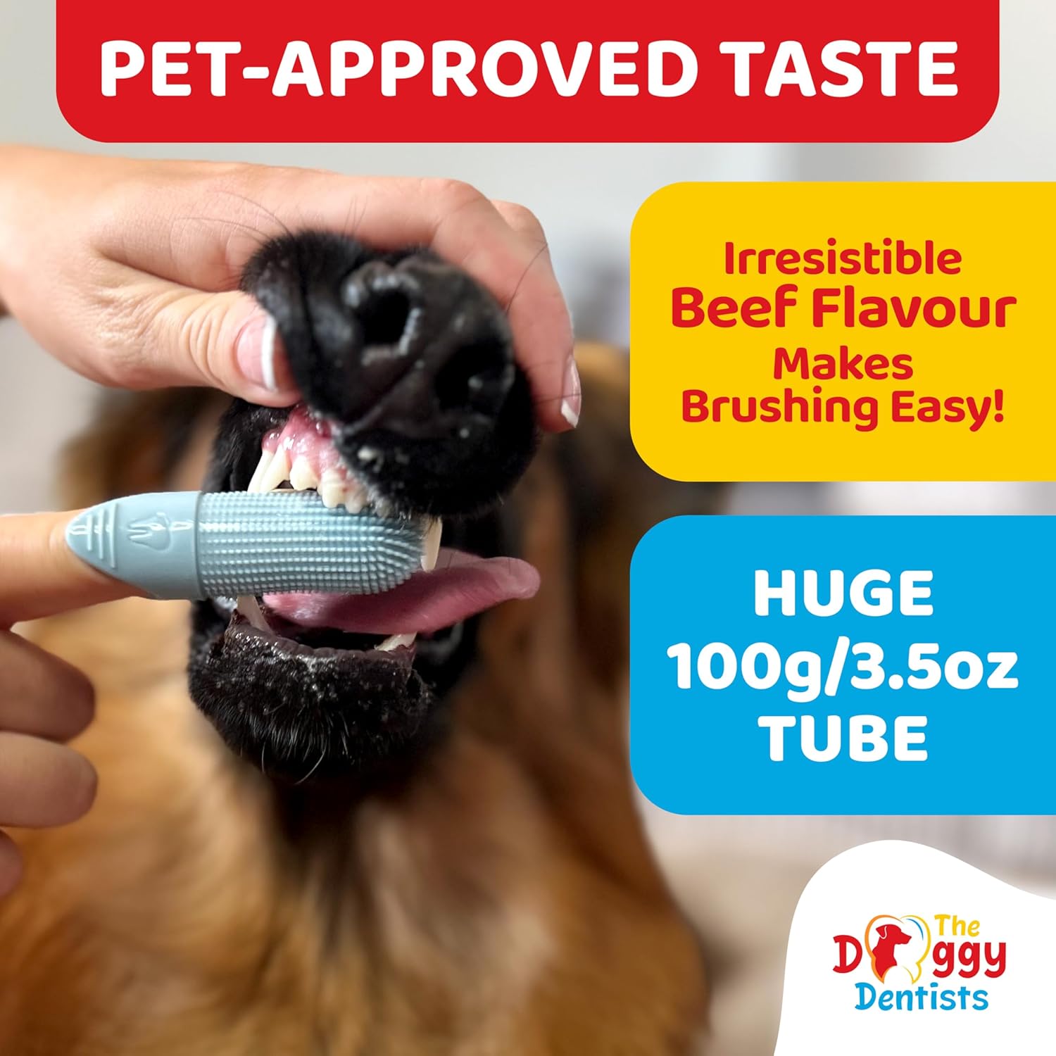 Vet Strength Pure Enzymatic Dog & Cat Toothpaste | 3.5oz Beef Flavor | Enzyme Pet Toothpaste for Tartar Removal, Bad Breath, Teeth Cleaning | Suitable for Puppies & Kittens - Pet Explorer