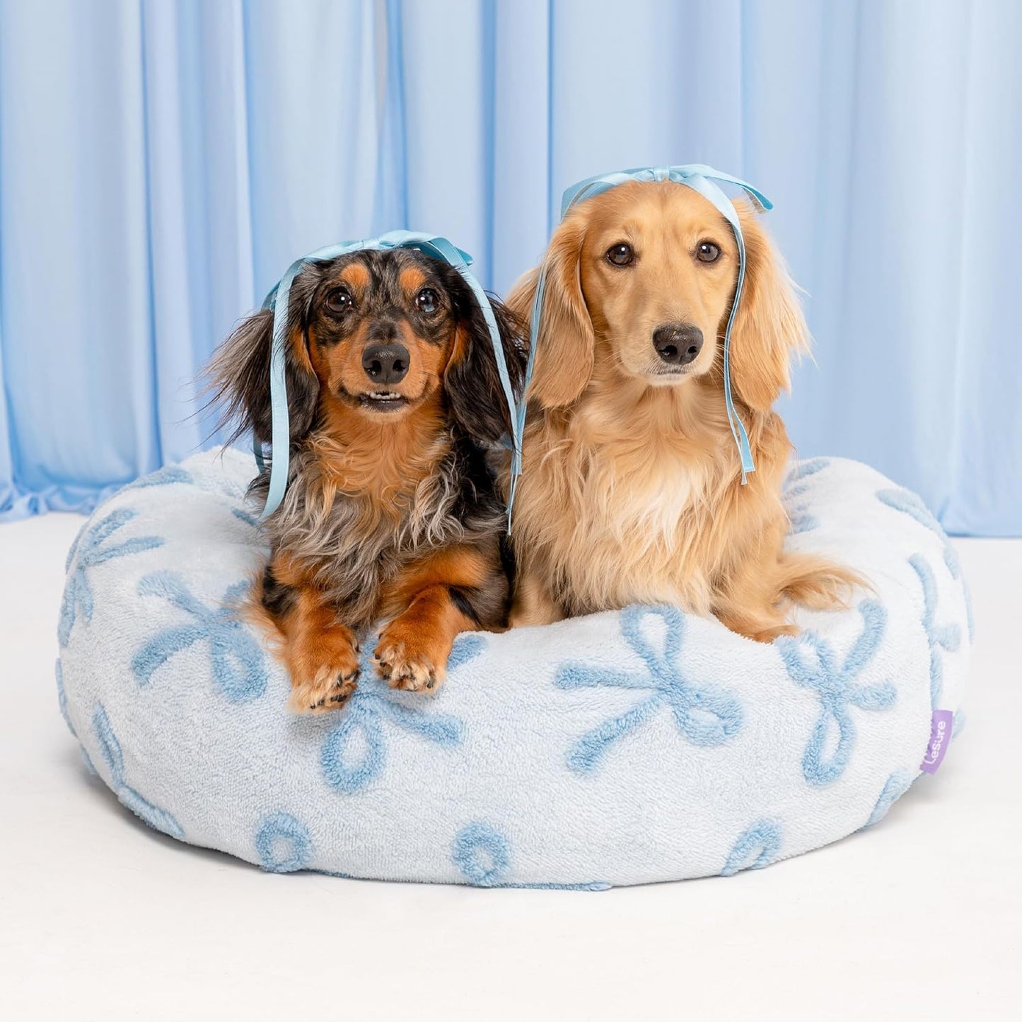 LE SURE Donut Medium Dog Bed - Round Cat Beds for Indoor Cats Calming Pet Beds, Cute Modern Beds with Jacquard Shaggy Plush & Anti Slip Bottom, 30 Inch, Ice Melt - Pet Explorer