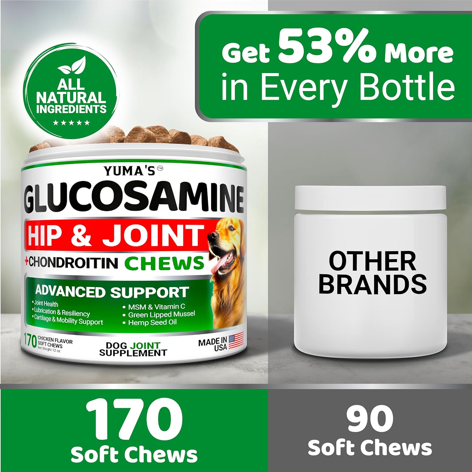 YUMA'S Glucosamine for Dogs - Hip and Joint Supplement for Dogs - 170 Ct - Glucosamine Chondroitin Chews - Joint Pain Relief Supplement with MSM - Advanced Health - Mobility Support - Made in USA - Pet Explorer