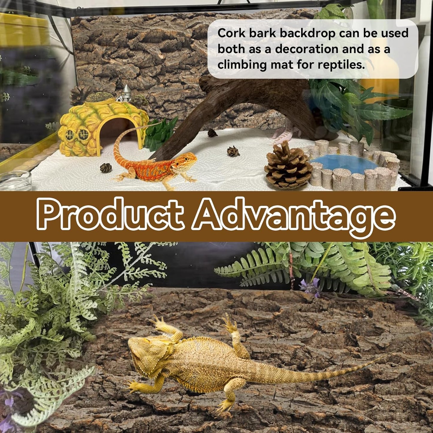 2PCS Reptile Cork Bark Background,15.74 x 11.81 Inch Natural Cork Wood Terrarium Background Bearded Dragon Tank Bark Backdrop Wall Decor for Lizard Gecko Chameleon Tortoise Snake Spider Frog - Pet Explorer