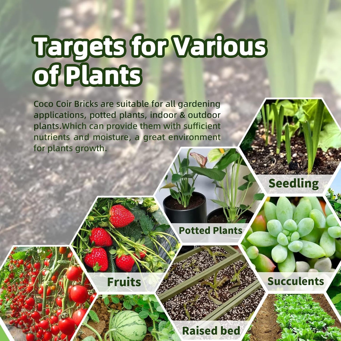 Coco Coir Bricks (16-Pack, Eco-Friendly) -100% Natural Compressed Coco Peat Brick Coconut Fiber Substrate, Plant Soil Enhance Root Growth forVegetable Seed, Herbs, Flowers, House Plants - Pet Explorer
