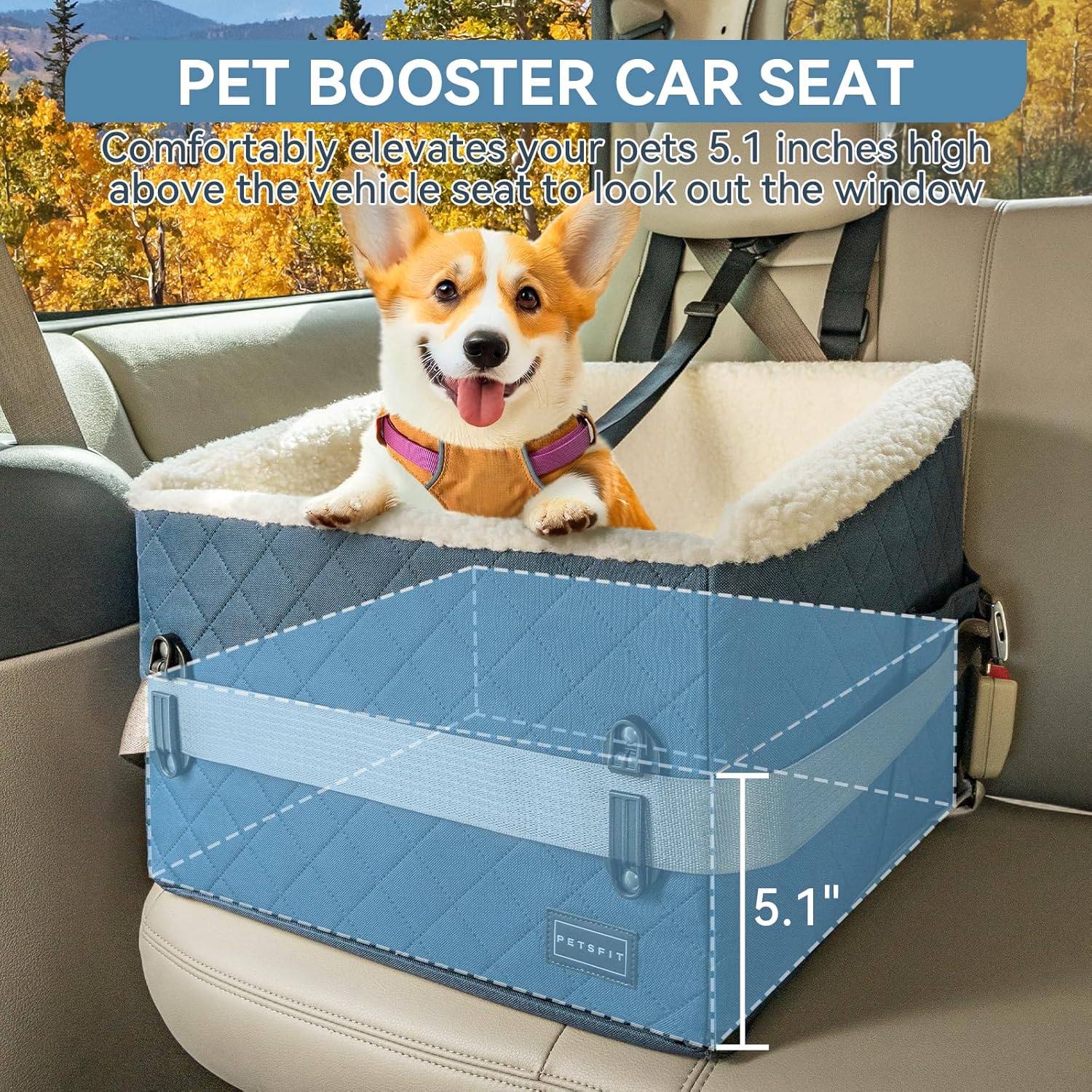 PETSFIT Pet Car Seat for Small Dogs, Soft Foam Dog Booster Car Seat with Patented Safety Buckles, Storage Pockets and Detachable Clip-On Safety Leash, Dog Carseat for Small Dogs Under 30 LBS (Blue) - Pet Explorer
