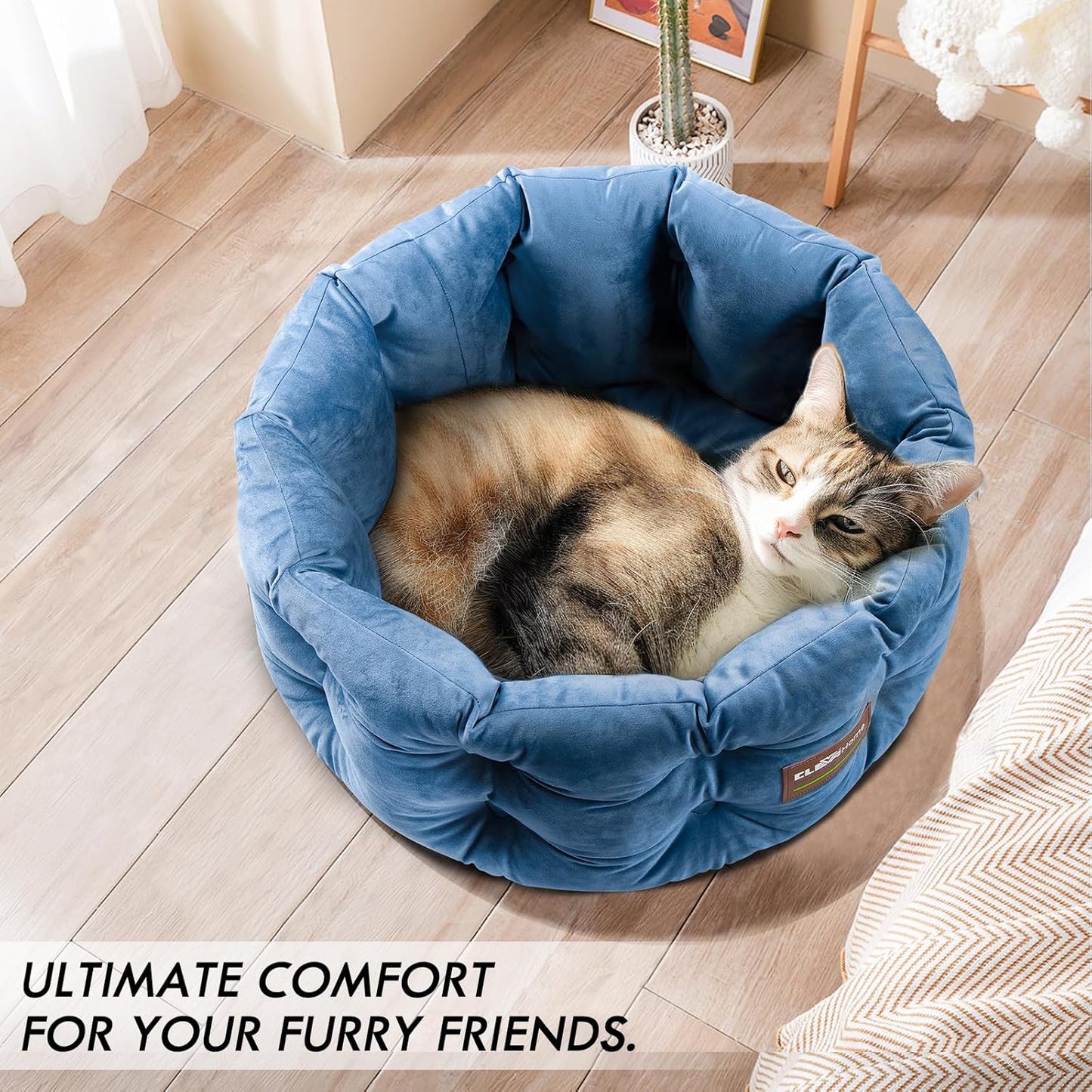 ClevaHome Deep Nest Cat Bed for Small Pets up to 15lbs - Round Cat Beds for Indoor Cats, Luxurious Velvet Feel, Extra High Sides, Machine Washable Comfort Pet Bed with Non-Slip Bottom (Steel Blue) - Pet Explorer