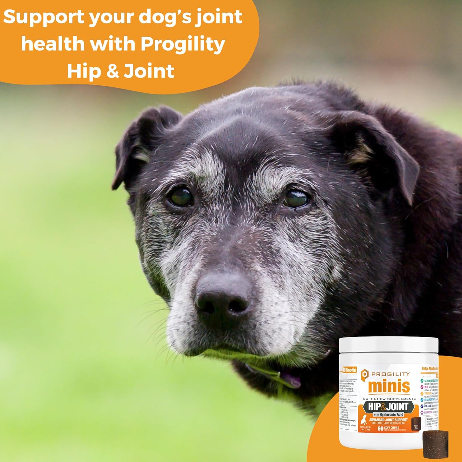 Nootie Progility Mini Hip & Joint Small & Medium Breed Chew Supplement for Dogs, 60 Count - Pet Explorer