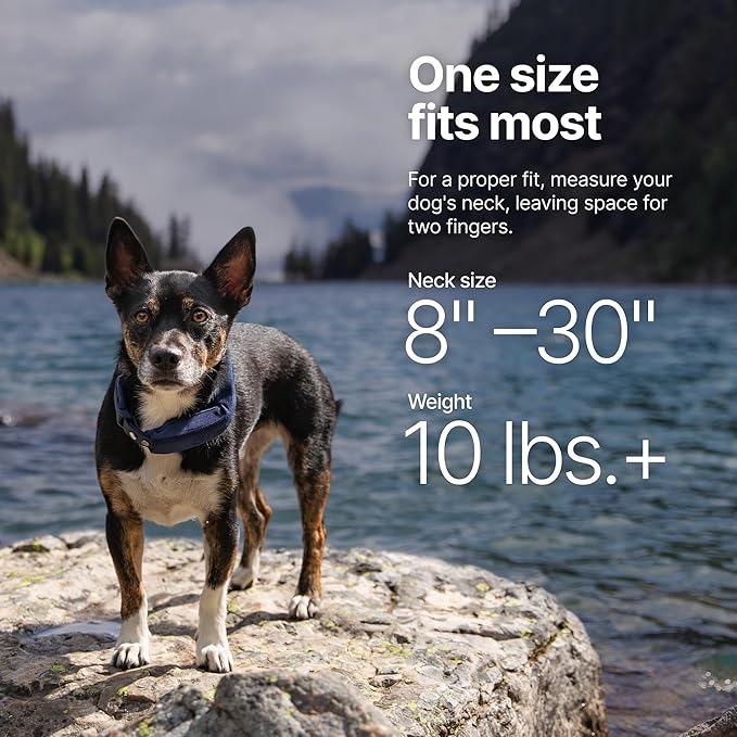 Halo Collar 5 Wireless Dog Fence & GPS Dog Collar, Keep Your Dog Safely Contained Outdoors with App-Controlled Boundaries and Real-Time Tracking, One Size, Graphite