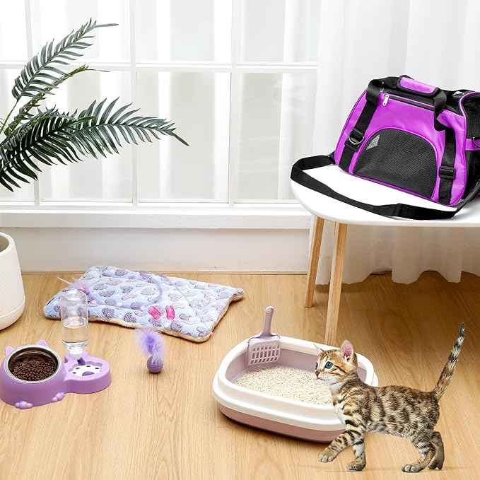 Eccliy Kitten Starter Kit, 10 Pcs Cat Starter Kit for Indoor Cats Kitten Essentials Includes Litter Box, Pet Toy, Folding Carrier, Climbing Frame, Mat, Collar, Automatic Food Bow(Cute,Purple)