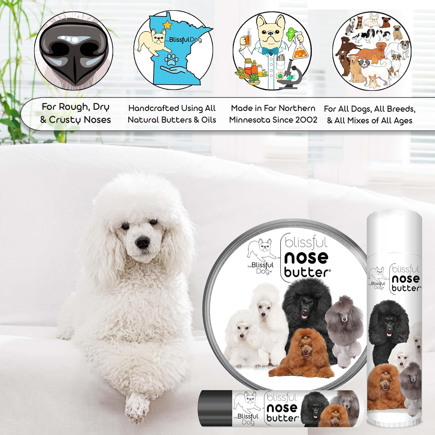 The Blissful Dog Poodle Nose Butter for Dry, Cracked Skin, Lick-Safe Dog Nose Balm with Moisturizing Shea Butter, Almond, Olive, and Essential Oils, Pet Supplies, Uncented, 2 oz. - Pet Explorer
