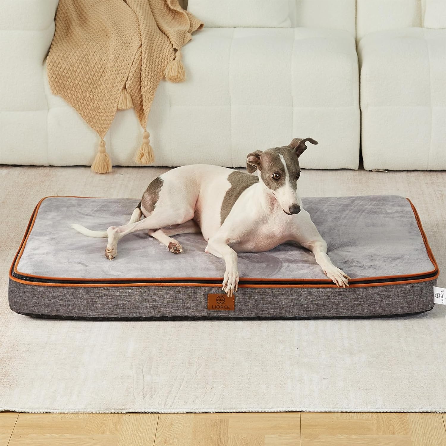 Memory Foam Large Dog Bed - 4” Thick Orthopedic Beds for Large Dogs - Waterproof Dog Bed with Removable Washable Cover & Wrap-Around Zipper - Ultimate Comfort and Easy Maintenance - Pet Explorer